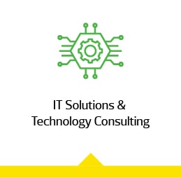IT Solutions & Technology Consulting