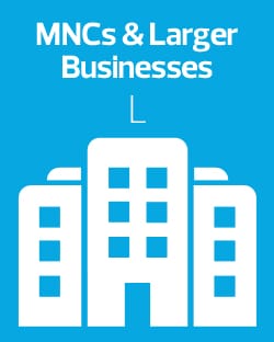 MNCs & Large Business
