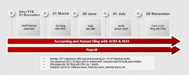 Illustration for annual filing with ACRA & IRAS is based on a company with financial year ending 31 December.
