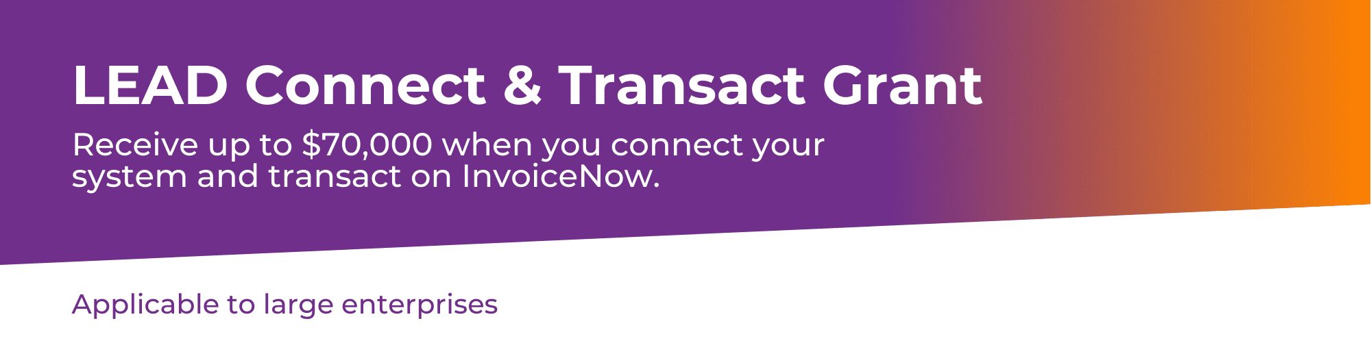 LEAD Connect Transact Grant- Receive Up to 70,000 SGD when you connect your system and transact on InvoiceNow